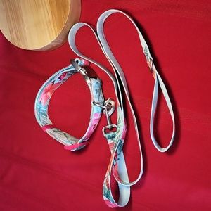 PETCO leash and collar